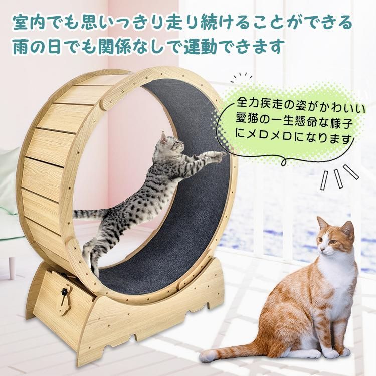 人気の福袋 印象のデザイン 新品、未使用 猫 犬 トレッドミル キャット