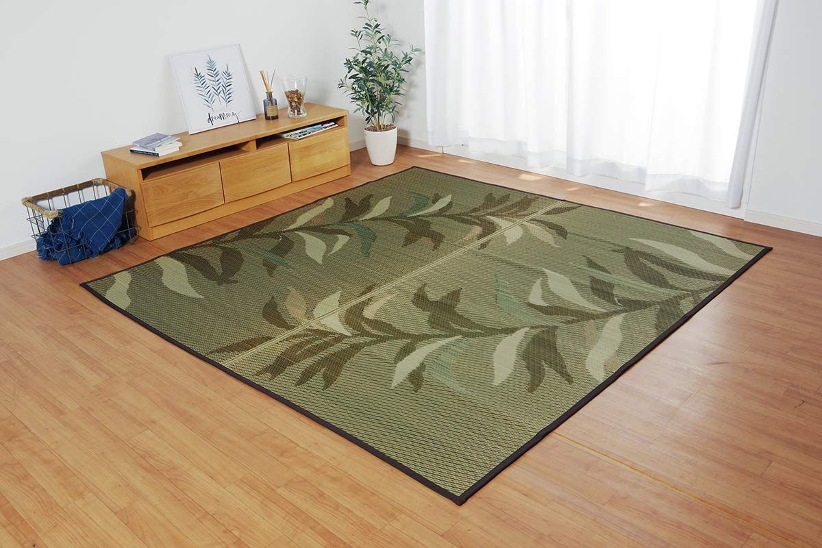人気，新作 イケヒコ い草ラグ 消臭 カーペット 長方形 NSグラン ブラウン 約191×300cm (裏:不織布) 滑りにくい加工 ラグ・カーペット