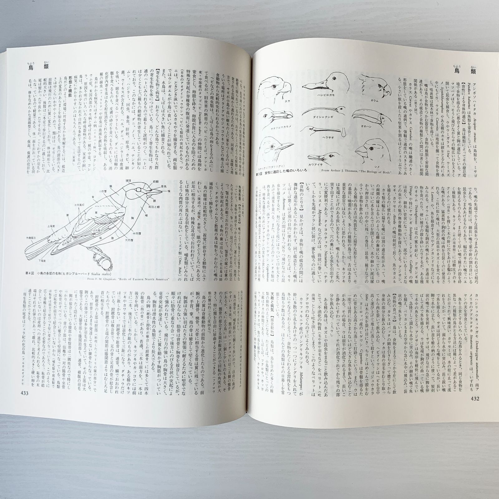 ☆ブリタニカ国際代百科事典☆初版本☆ - 語学、辞書