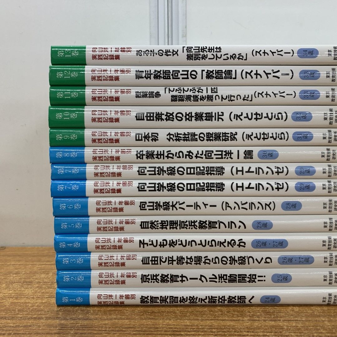 向山洋一年齢別実践記録集 酸っぱ