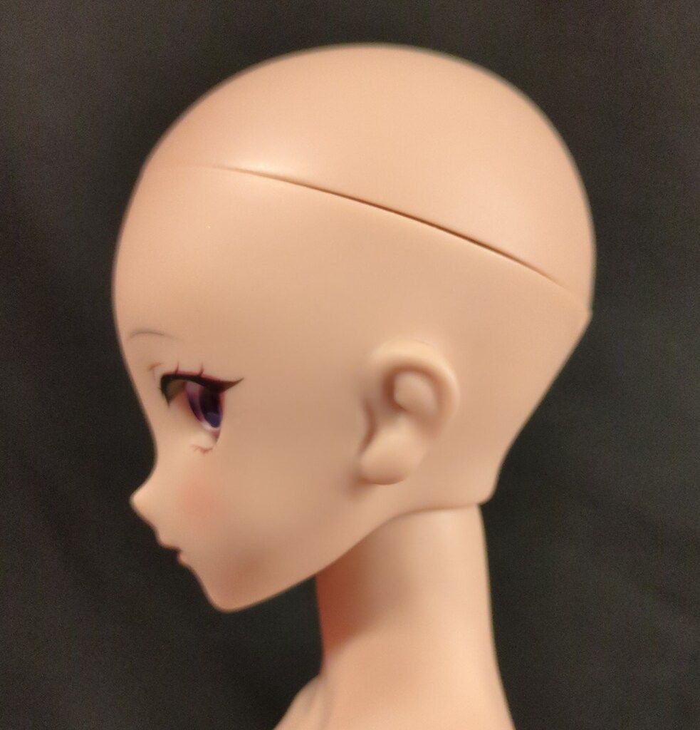 ドリームチョイス DD