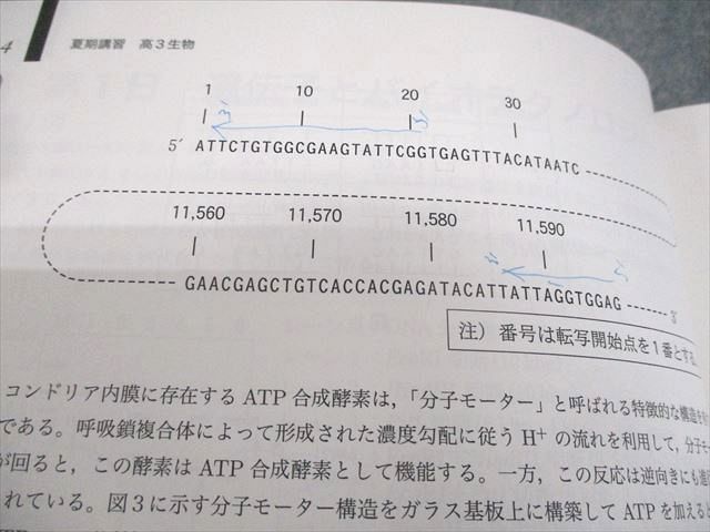 鉄緑会 高3 生物 テキスト 2019 夏期 ?沼遼哉/遊佐涼介 014m0D 鉄緑会 高3 生物 テキスト 2019 夏期 ?沼遼哉/遊佐涼介 014m0D