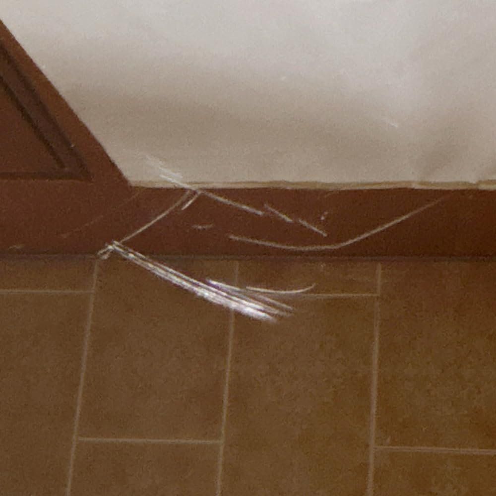 Lサイズピザにも対応 フードウォーマープレート