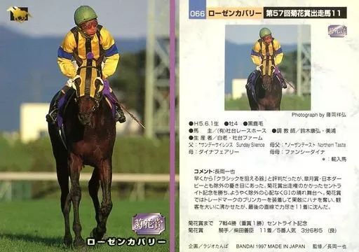 魅力的な価格 中古】スポーツ 066 ローゼンカバリー ： [レギュラーカード] その他