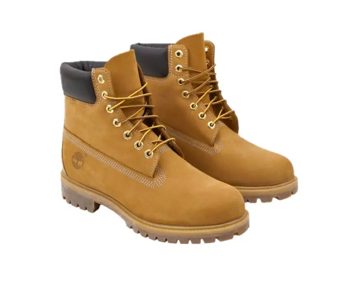 Timberland ティンバーランド 6 インチ 防水 ブーツ ウィット ヌバックレザー ワイド