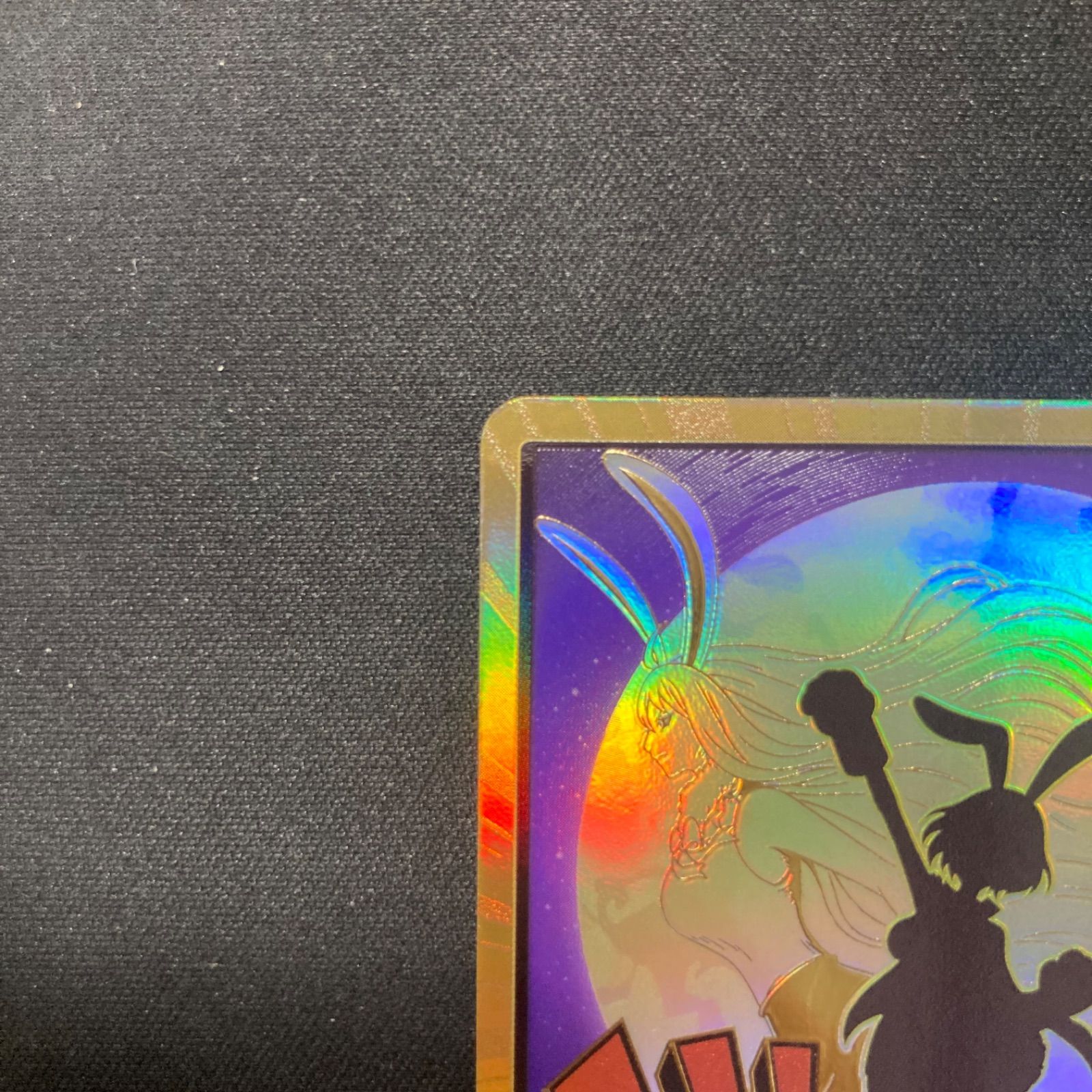 キャロット金ドン2枚セット