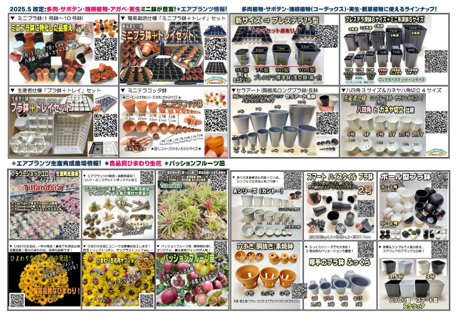 ミニプラ鉢専門店＊2号鉢どっしり型プラ鉢-ミニサイズ-黒・茶・混合120鉢セット＊多肉植物・塊根植物コーデックス・アガベ・サボテン・観葉植物・盆栽・ハオルチア・アデニウム・パキポディウム＊グラキリス・実生・ミニ鉢・ミニプラ鉢＠フラワーショップ江口 アガベ・コーデックス・その他多肉植物におすすめの黒プラ鉢4選 - YouTube