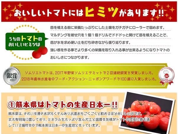 【最大50%還元】【6月18日終了】 K,受賞歴３回訳ありソムリエトマト約5kg（16玉～32玉) ２箱-5