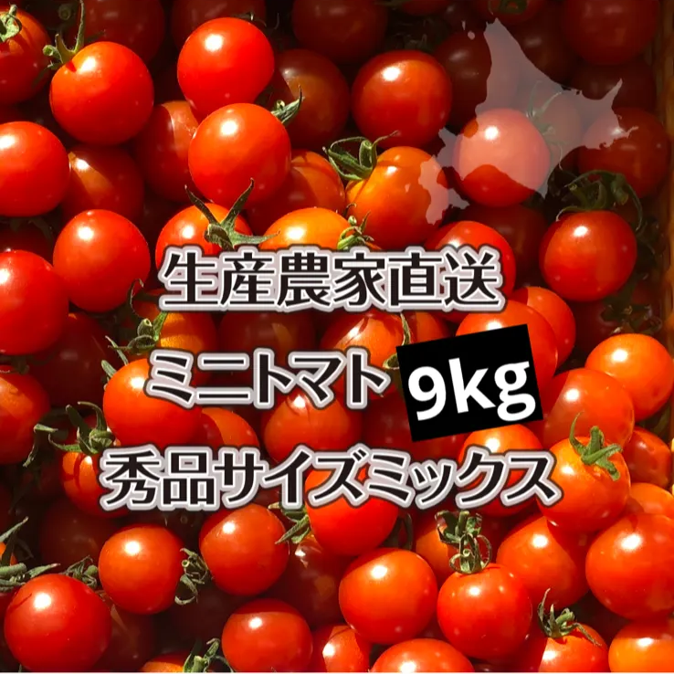 SALE／100%OFF】 mako2様専用 9kg北海道産ミニトマトキャロルセブン ...