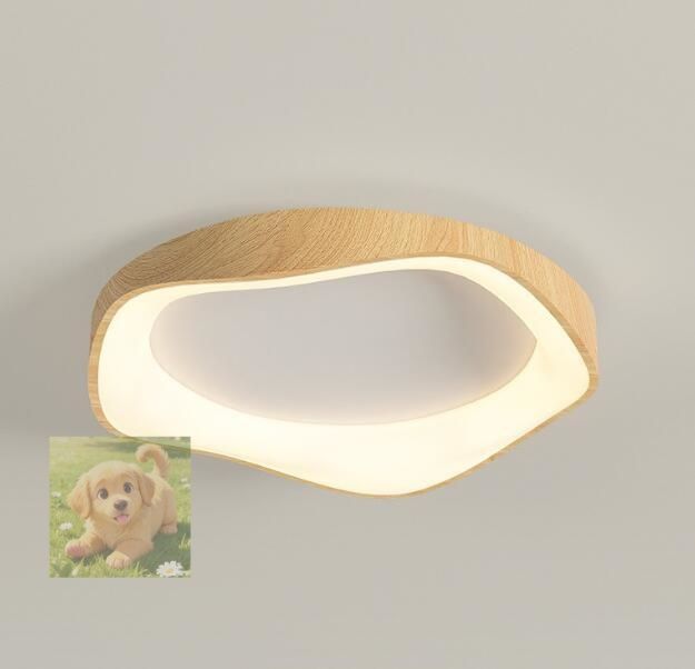 人気シーリングライト LED おしゃれ 調光調色 北欧 リモコン 照明 天井照明 照明器具 寝室 6畳-12畳 子供 LED照明ダイニング 間接照明 42cm