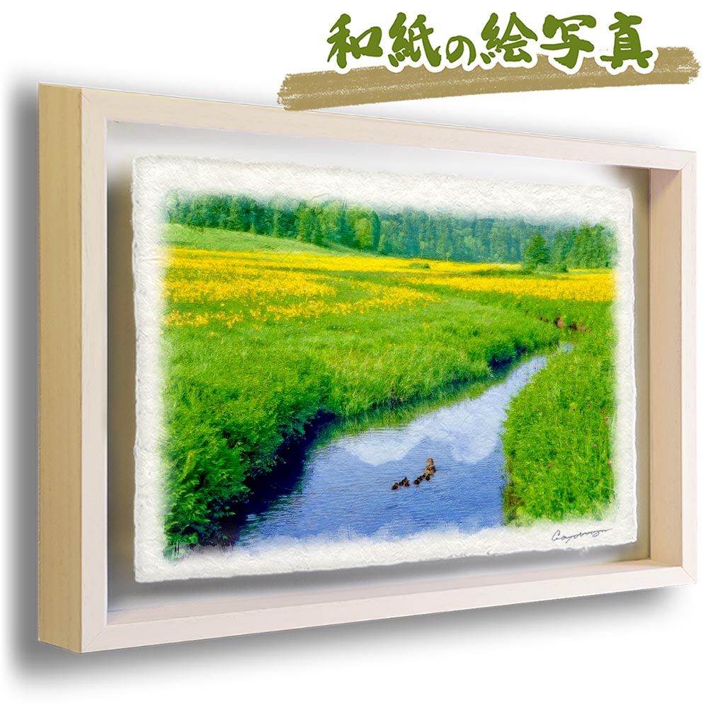 和紙の絵写真 「カルガモの親子とニッコウキスゲの湿原」 立体額縁付き
