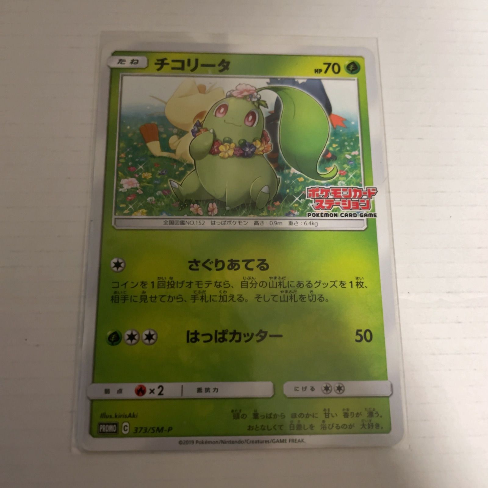 ポケモンカードステーションチコリータニャビーニャース