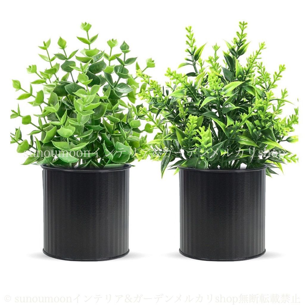 谷楽方山さんの赤絵 小品盆栽小鉢 12月 2020 ~ 山野草の盆栽教室 睦草