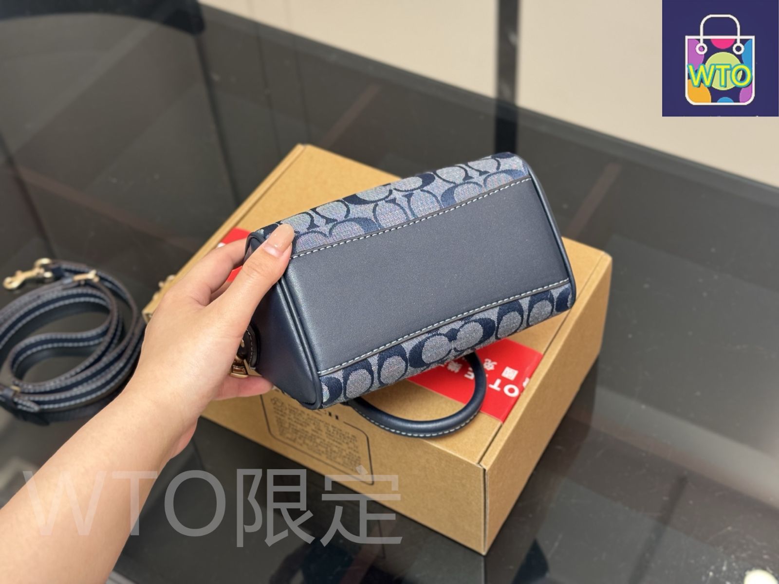 今日特価】Coach コーチ ミニピローバッグ コンパクトで大容量を