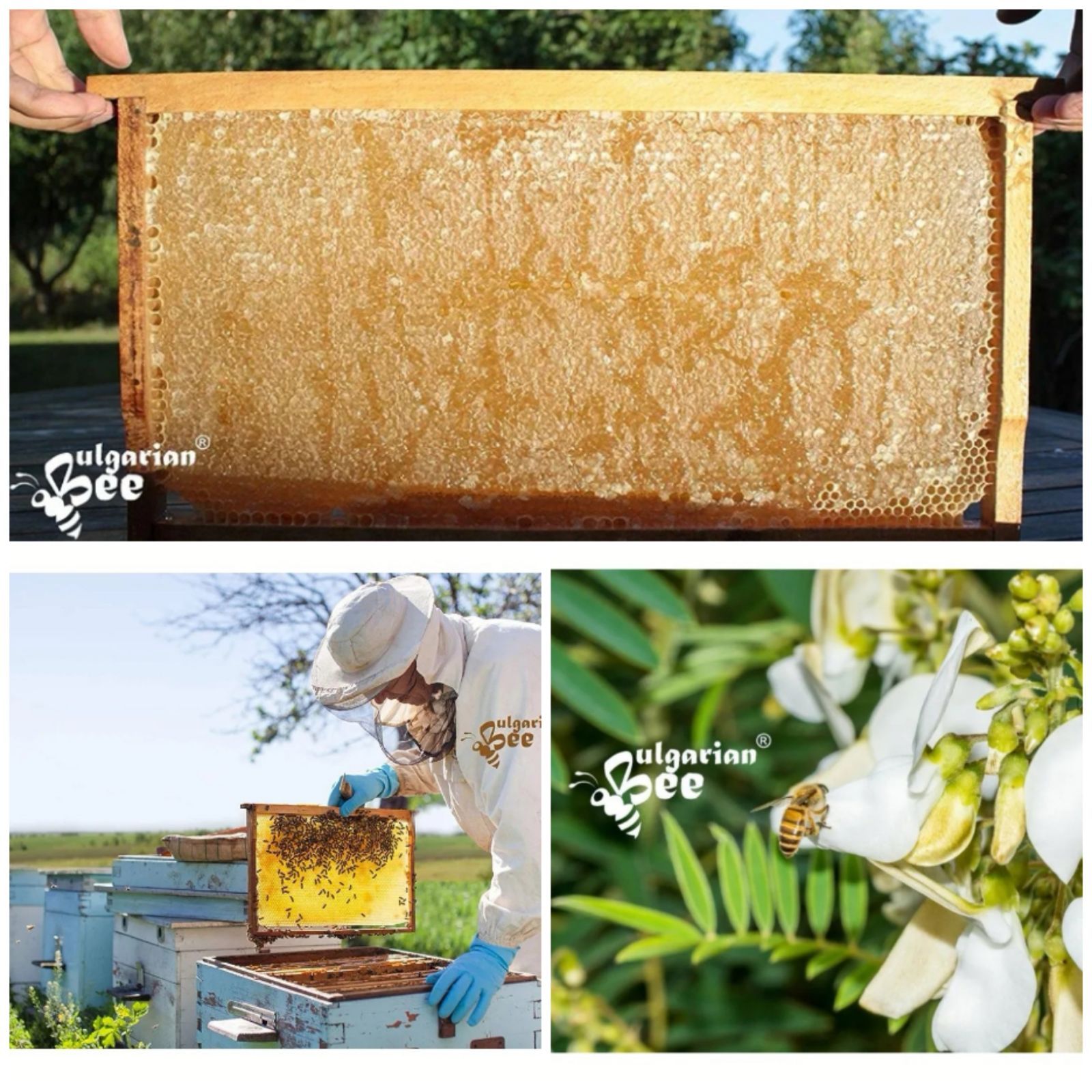 450g4瓶生オーガニックアカシアはちみつブルガリア産非加熱蜂蜜