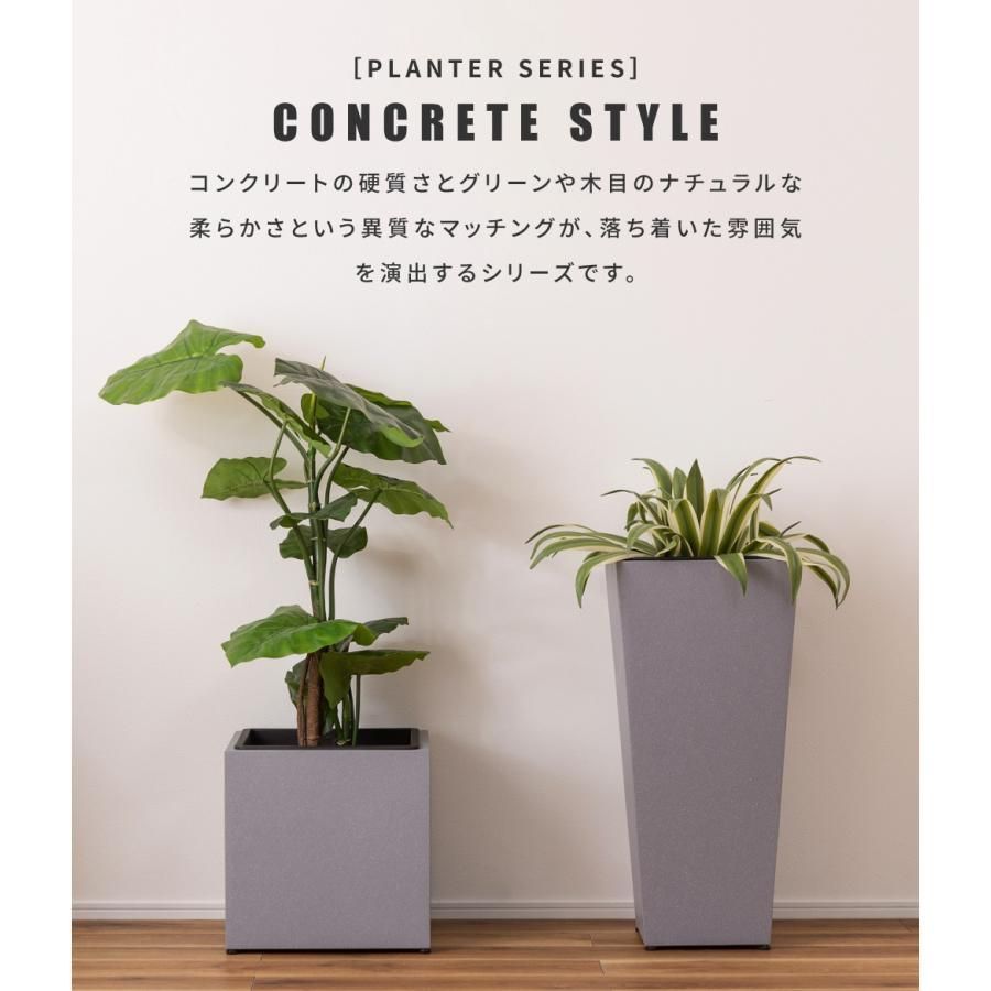 グリーンポット