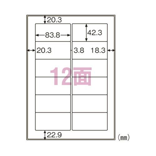 ヒサゴ 屋外用ラベル KLPC861S 10枚