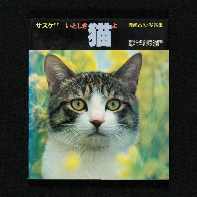 サスケ!! いとしき猫よ｜深瀬昌久 - メルカリ