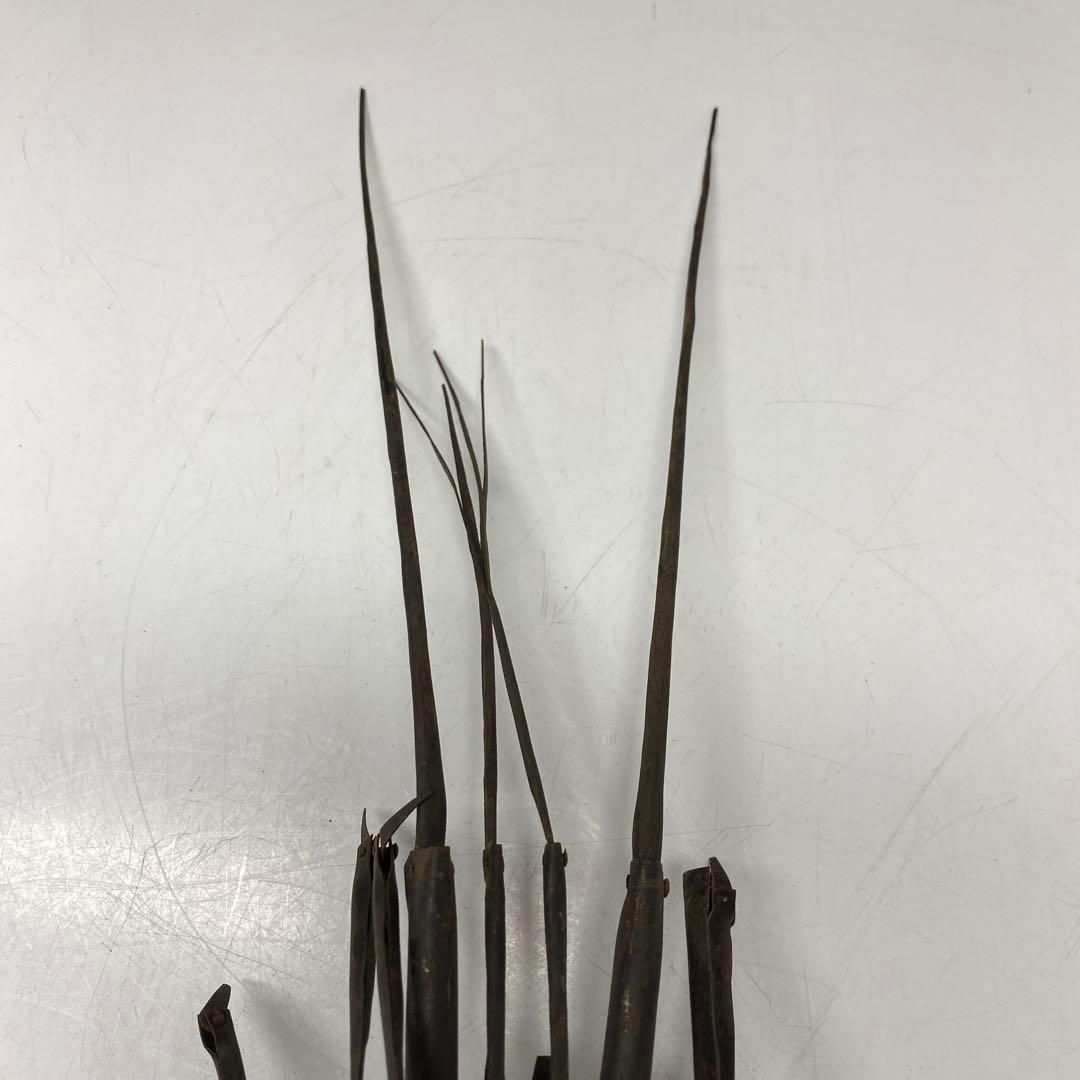 全長34㎝ 東Y6-0424