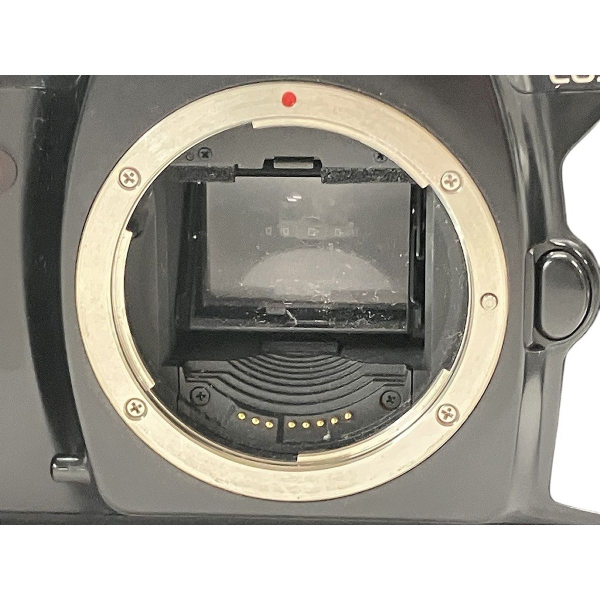 フィルム