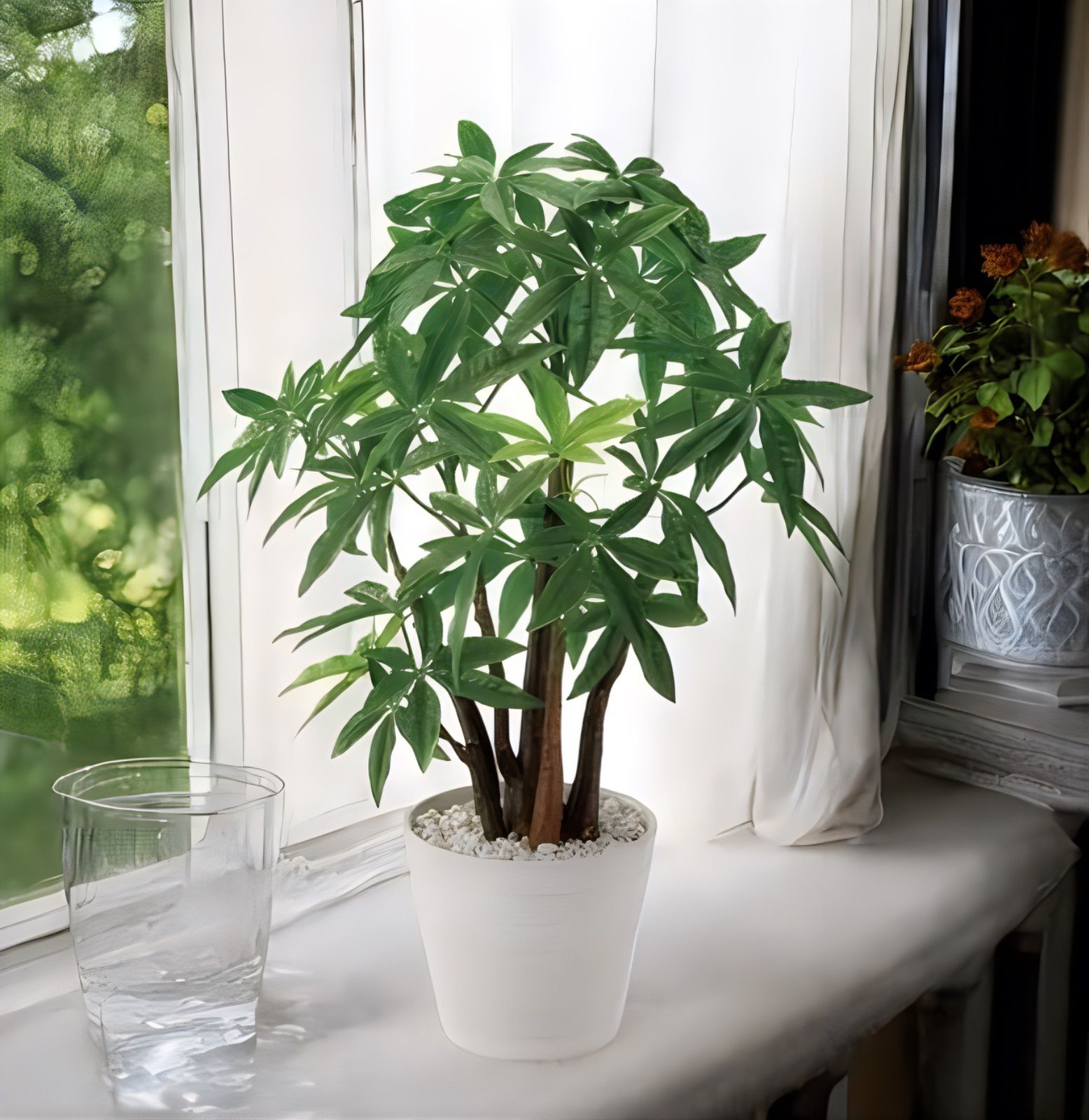 光触媒 人工観葉植物 ウォールグリーン フェイクグリーン パキラpt 