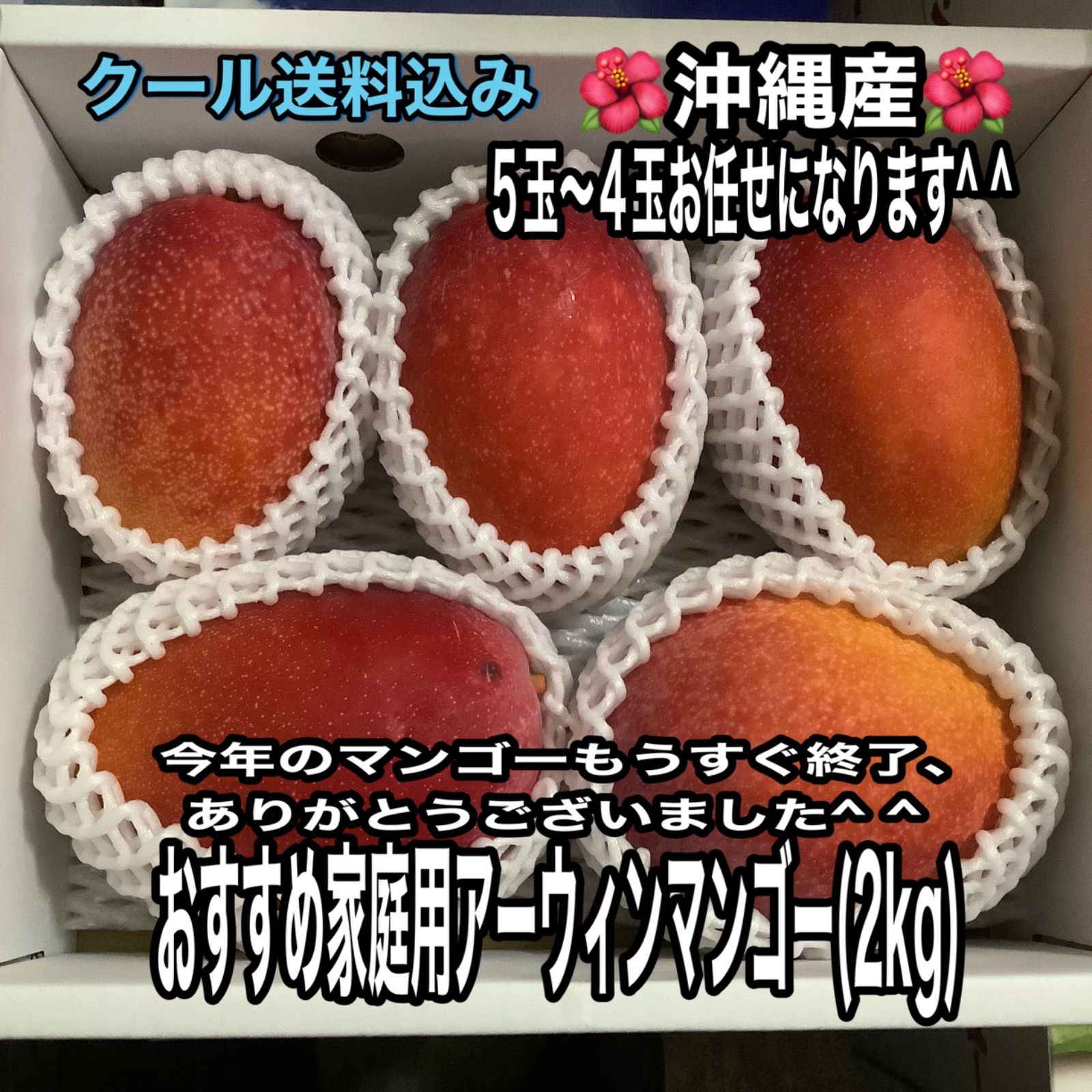 沖縄産☆家庭用アーウィンマンゴー(2kg)クール発送 - メルカリ 沖縄産☆家庭用アーウィンマンゴー(2kg)クール発送 - メルカリ