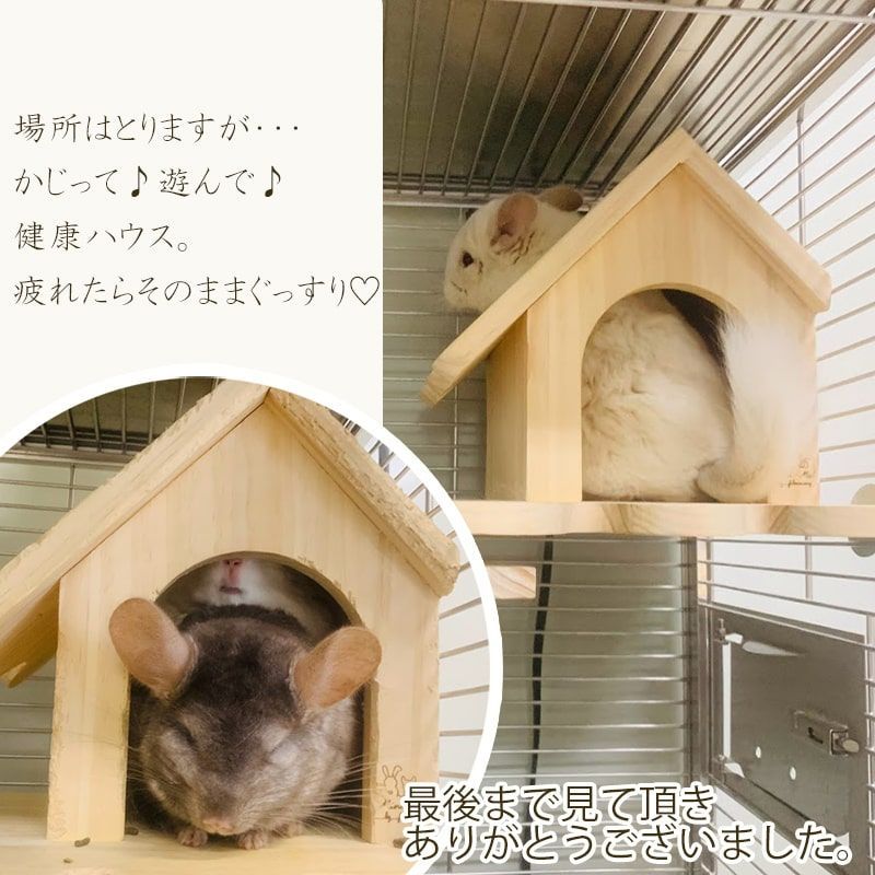 かじり木 チンチラ