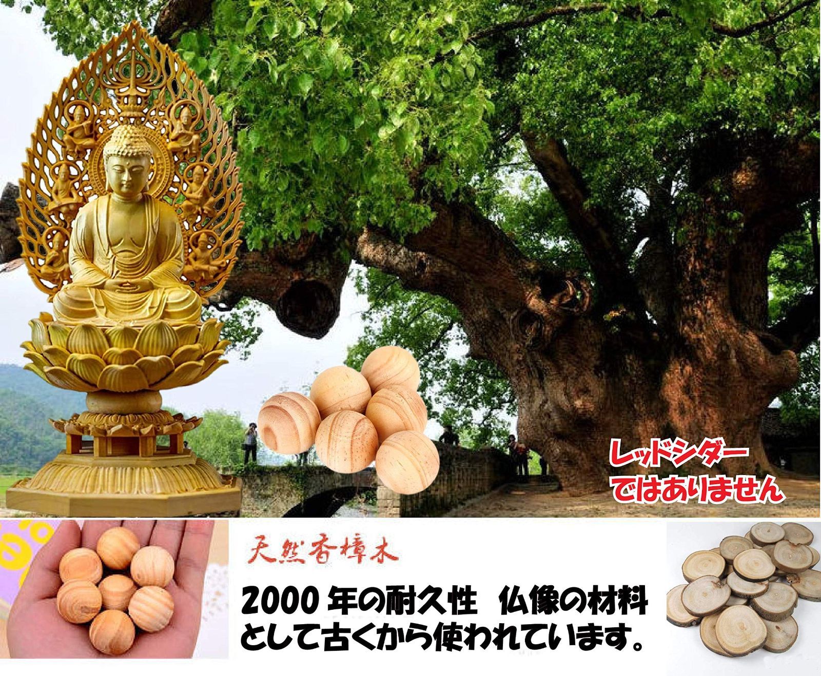 防虫 100％