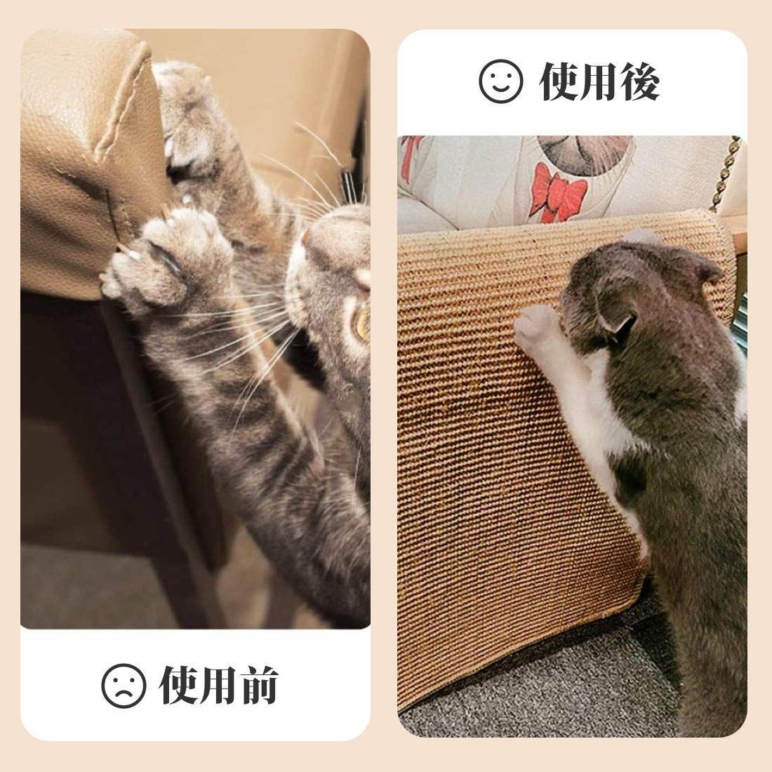 つめとぎ 高密度