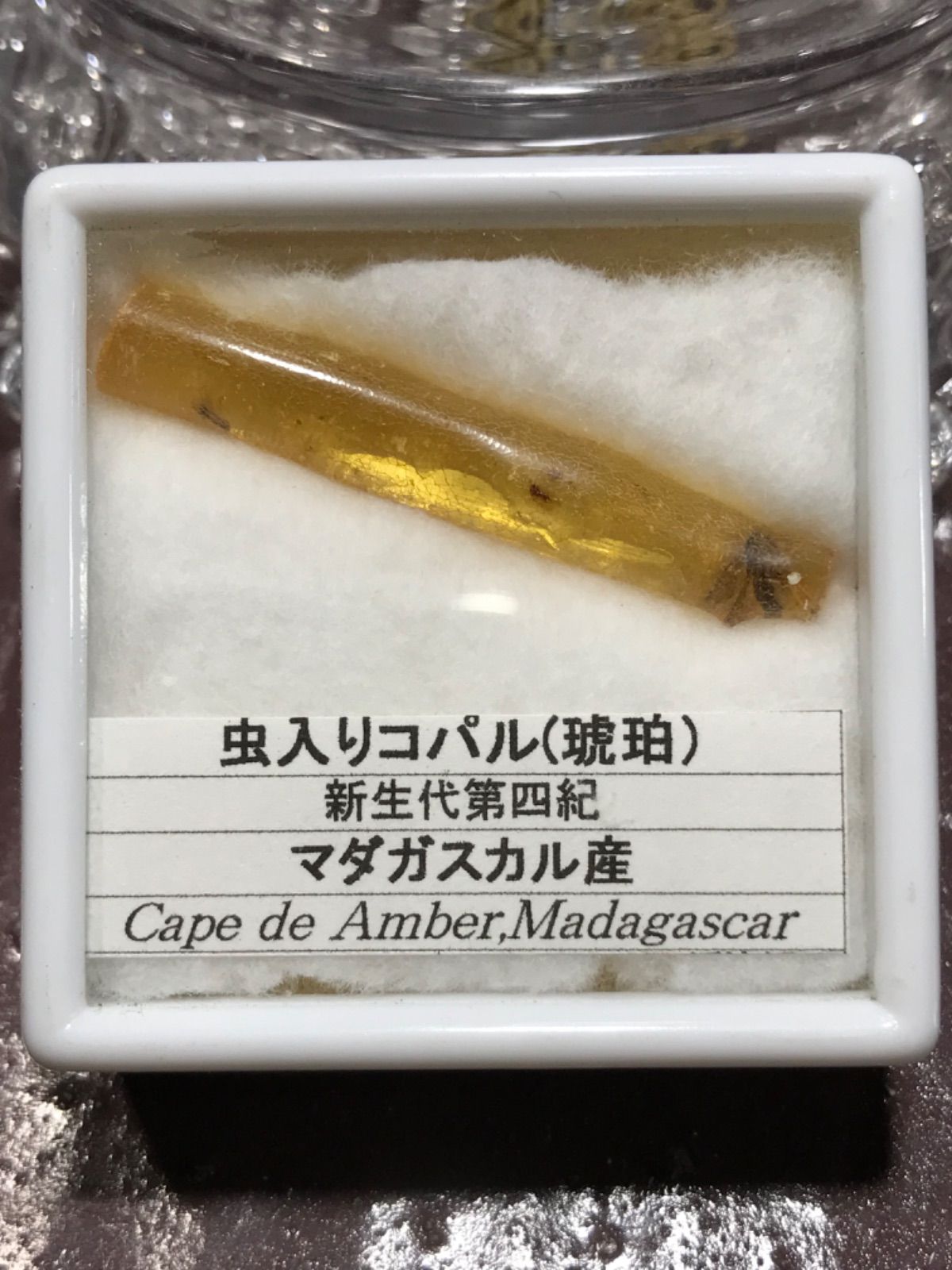 マダガスカル産【虫入り琥珀/アンバー】新生代第四紀コパル/化石[22-13 