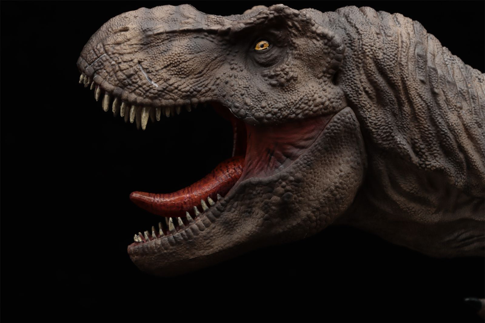 DINO DREAM 限定版 1/30 サイズ ティラノサウルス レックス 獣脚