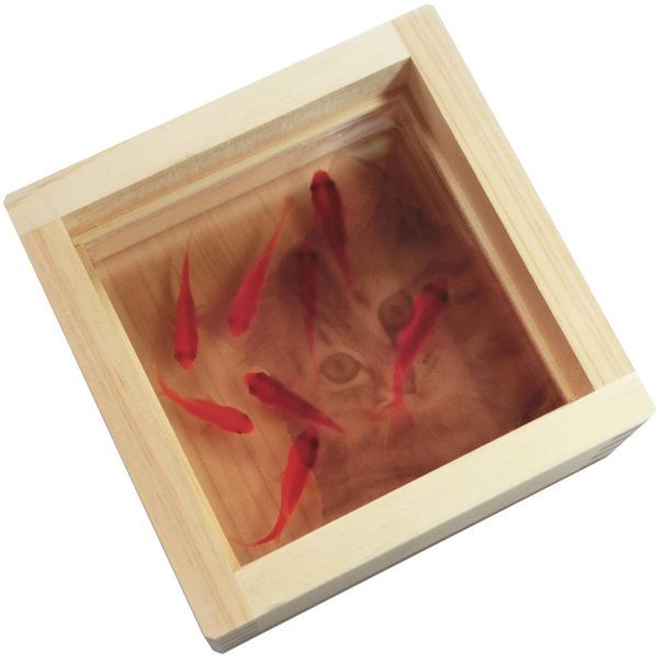 金魚アート 咲 紅葉 もみじ 置物 インテリア プリザーブドフラワー