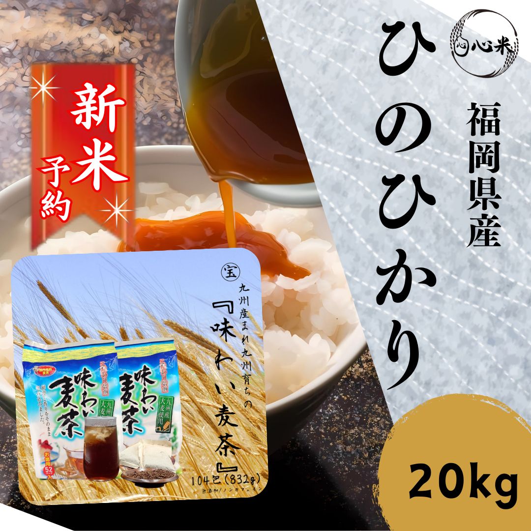 ゆるキャン カレーメシ 懸賞当選品 A賞 非売品キャリー 懸賞当選品