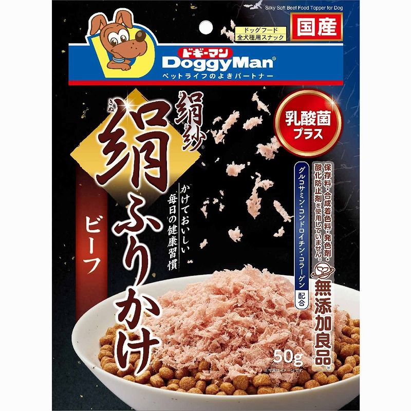 参考書 気功継続プログラムフェーズⅠ 清水義久