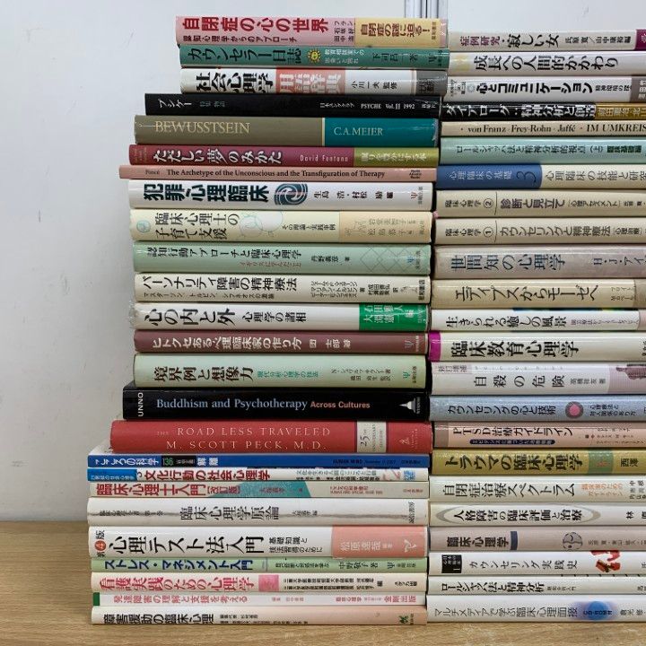 ■02)【同梱不可】精神分析・臨床心理学などの本 まとめ売り約70冊大量セット/ユング/カウンセリング/人格障害/PTSD/自閉症/トラウマ/B 02)【同梱不可】精神分析・臨床心理学などの本 まとめ売り約70