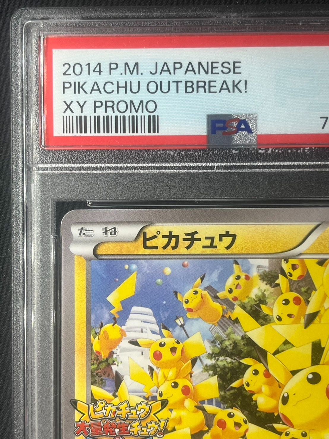 PSA10 ピカチュウ 070/XY-P たいりょうはっせい！？ ピカチュウ 070/XY