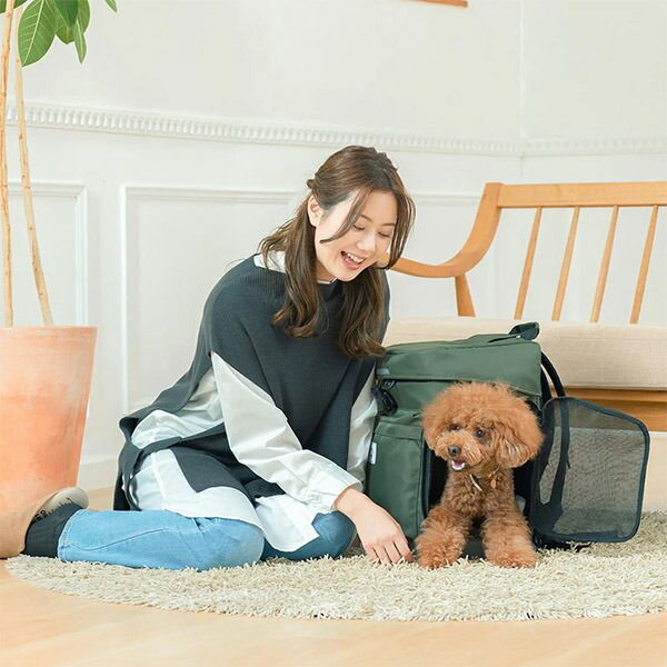 小型犬 お出かけ