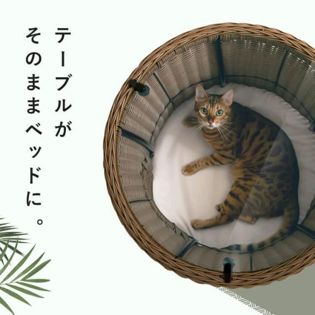 完成品 ネコ