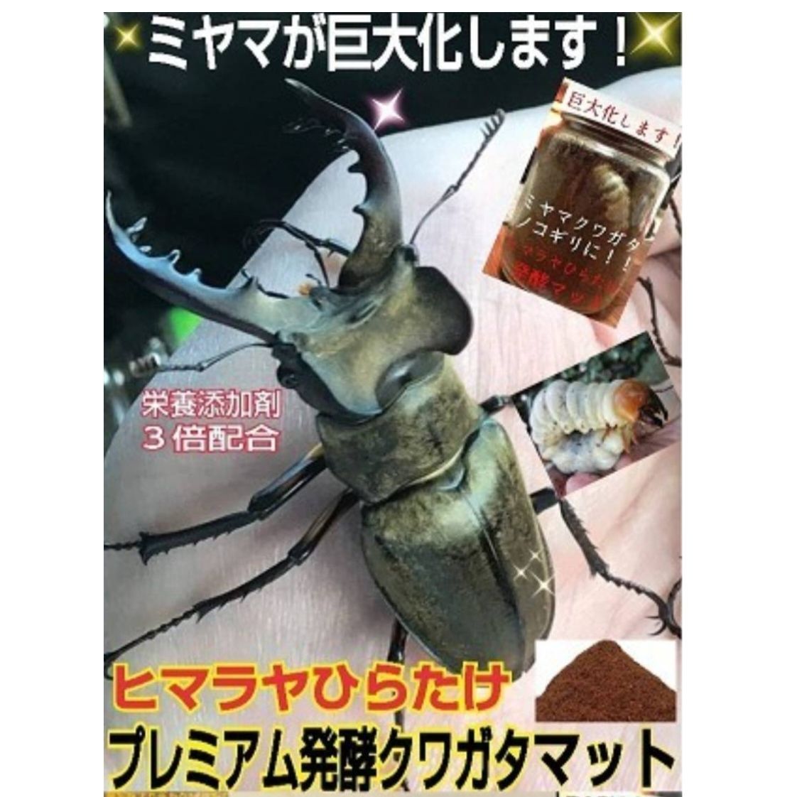 発酵マット