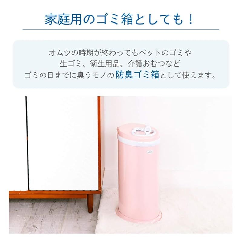 本体
