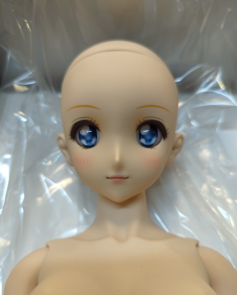 ボークス DDS 美少女戦士セーラームーン セーラームーン ボークス 区立