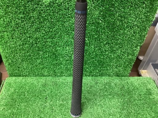 KP102 オペルクリカリア パキプス コーデックス ベアルート株 枝カット