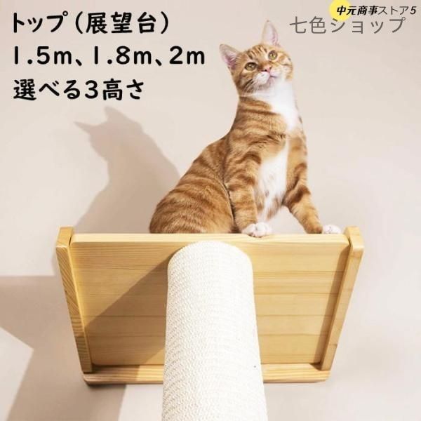 登り