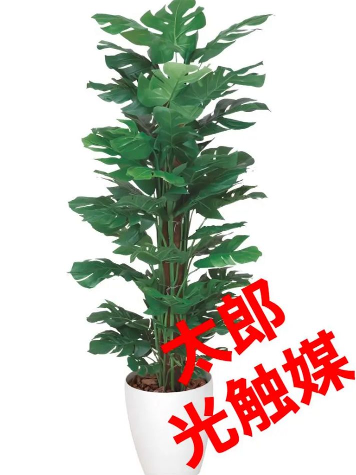 光触媒 人工観葉植物 ウォールグリーン フェイクグリーン スプリット1.2-