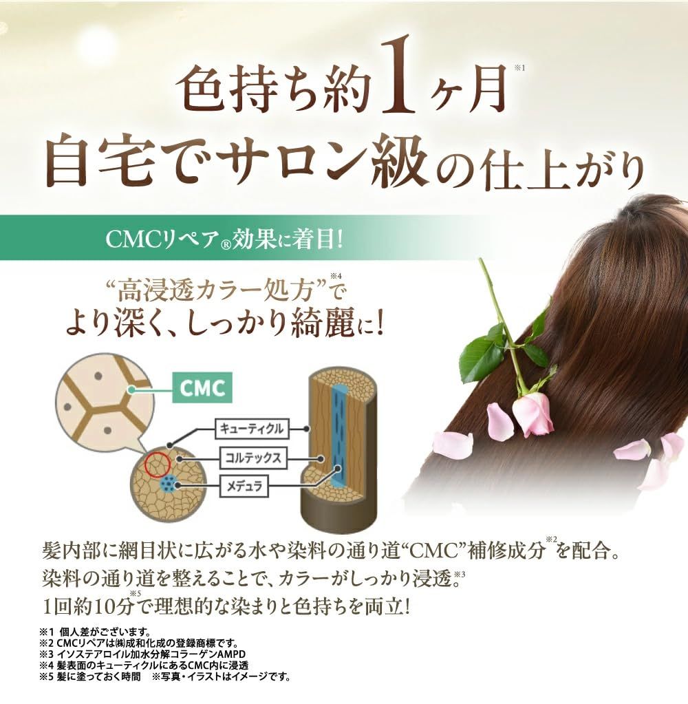 利尻カラークリーム　ナチュラルブラウン5本 楽天市場】【今だけ送料無料】白髪用 利尻カラークリーム 170g