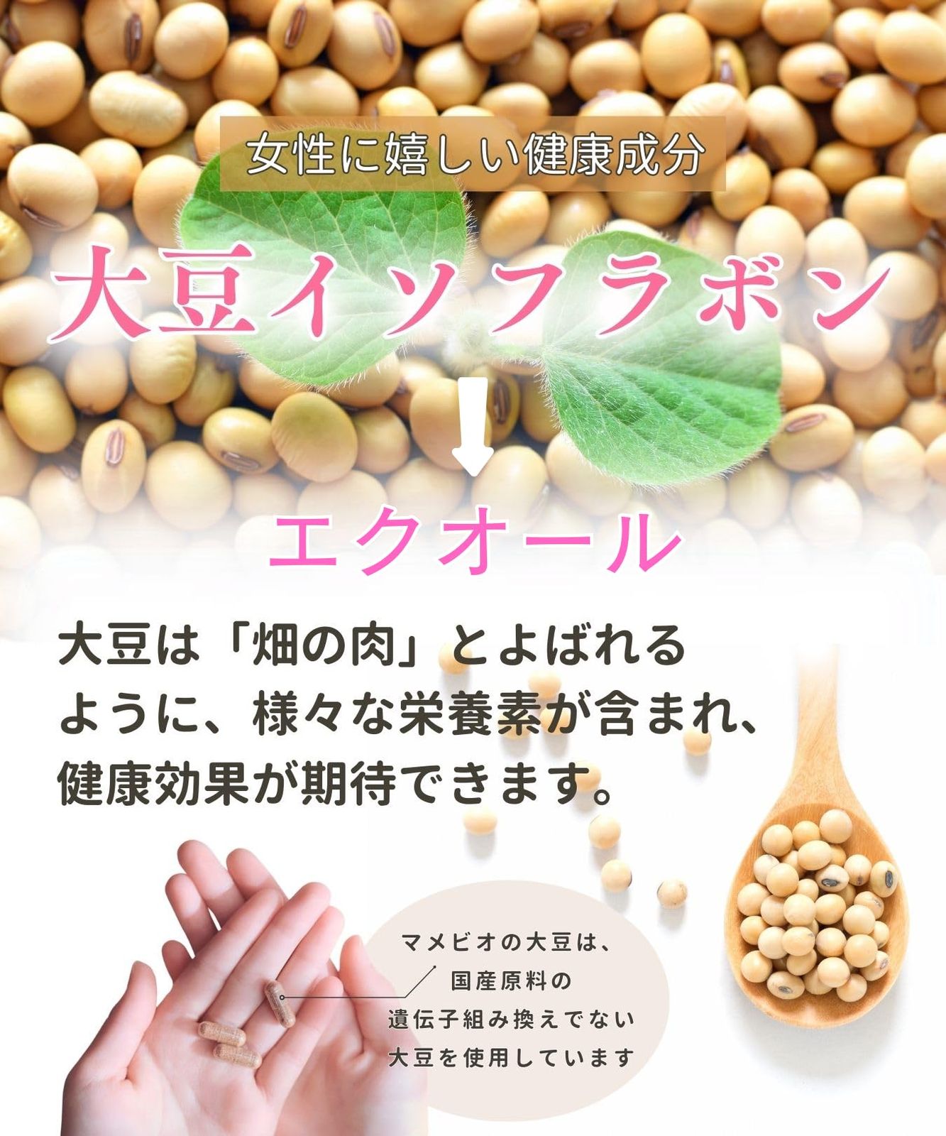 Amazon | マメビオフローラル 3箱 | マメビオ | イソフラボン