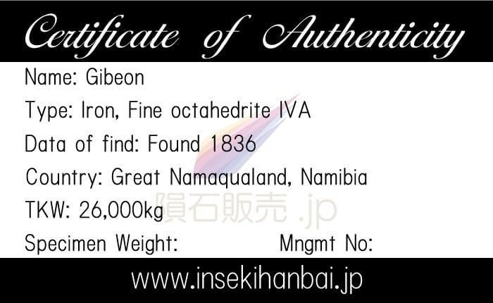 ギベオン 隕石 10.4g 鉄隕石 ネックレス ペンダント メテオライト  