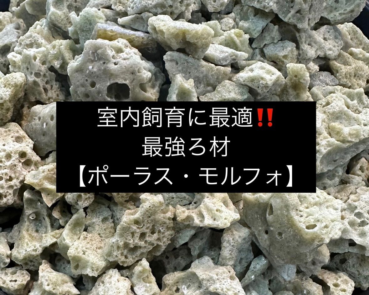 本金蒔絵二段重箱 精密な蒔絵