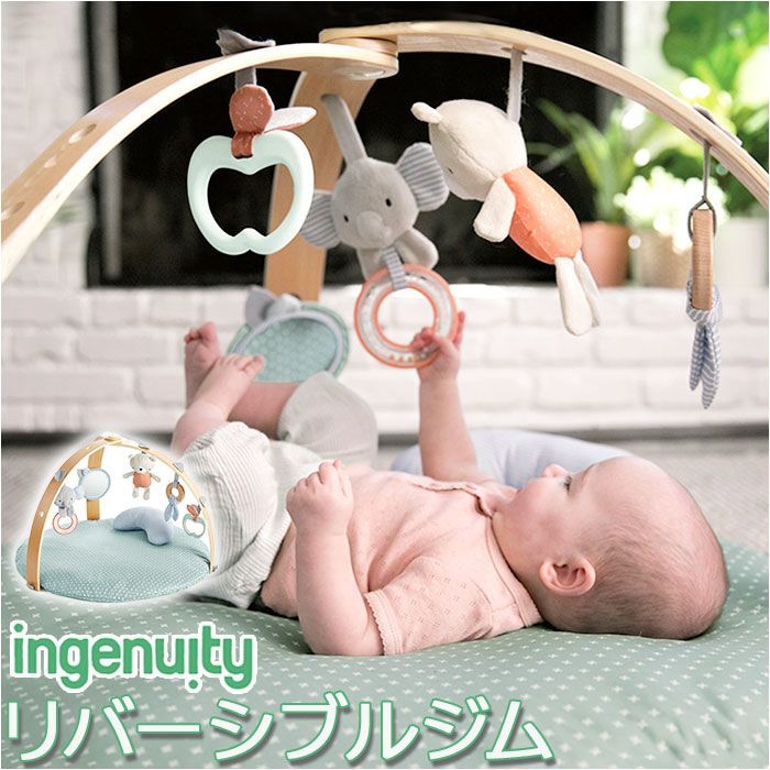 パンダドラゴン もちもち あづ チェキ ハピカ パンダドラゴン パラゴン