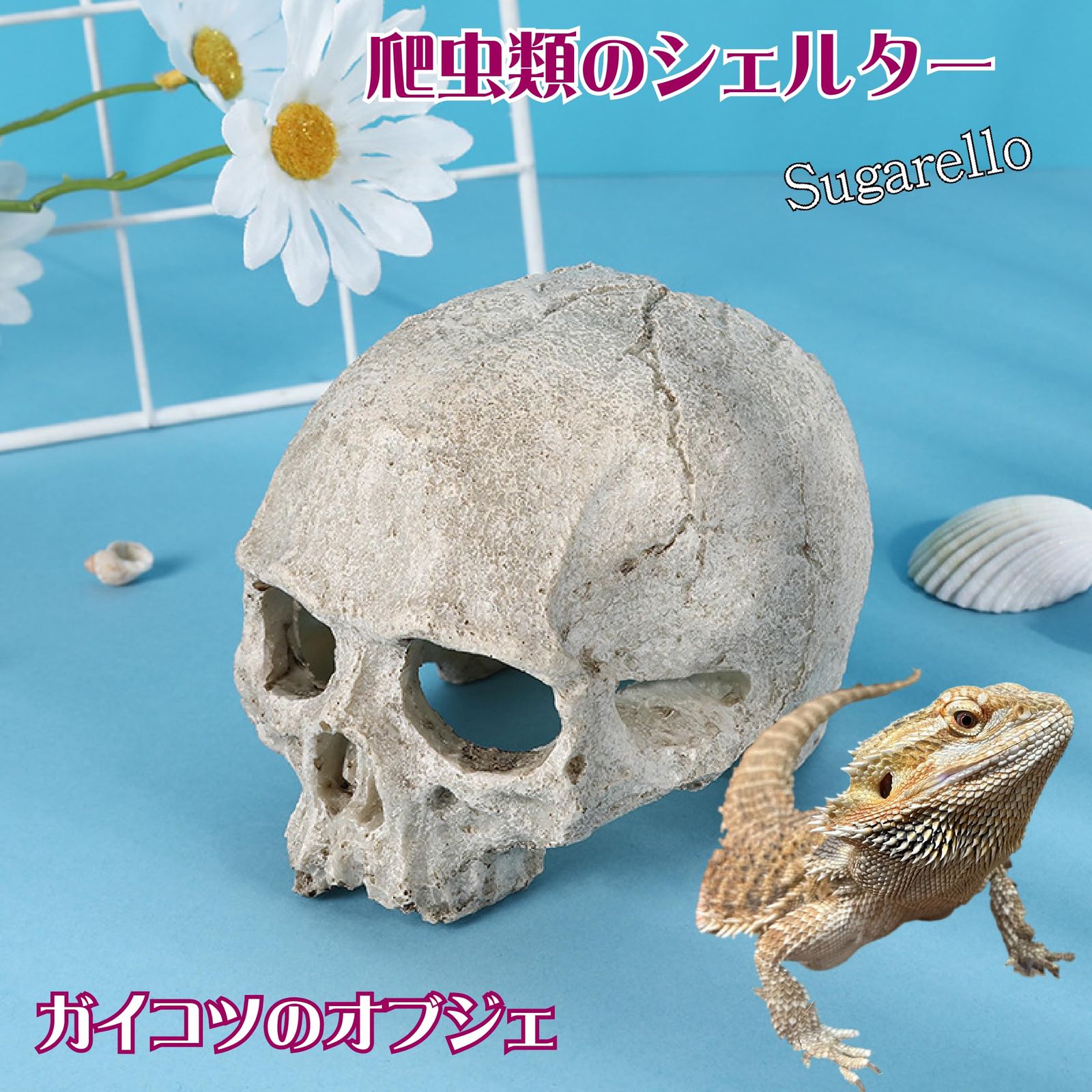 爬虫類　丸型シェルター　18 爬虫類 シェルター【Domus80-low】ソイルグラデーション トカゲ